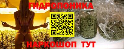 mdpv Донской