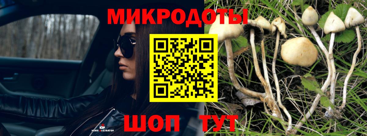 Галлюциногенные грибы мухоморы Лесной